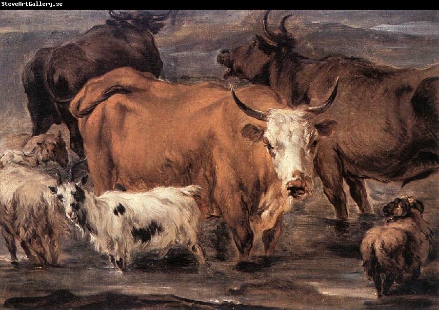 BERCHEM, Nicolaes Animal Study dd